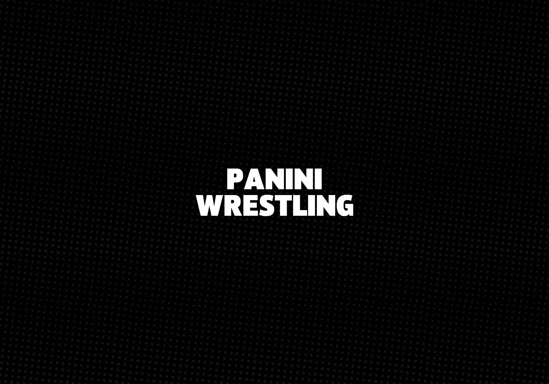 Panini Wrestling