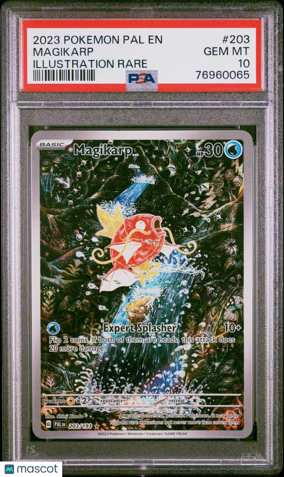 2023 Pokémon Paldea Evolved Magikarp #203 Illustration Rare PSA 10 